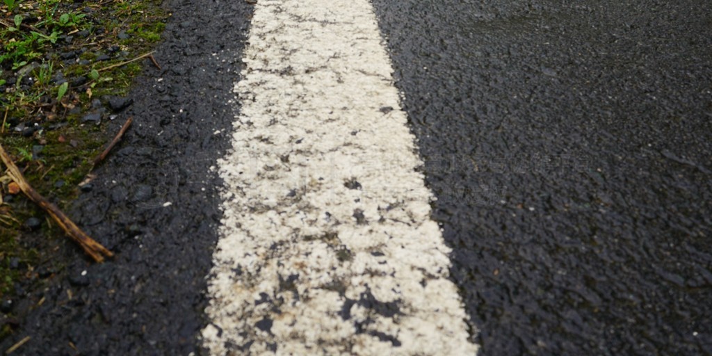 樹木與道路風(fēng)景 免費下載JPG高清壁紙